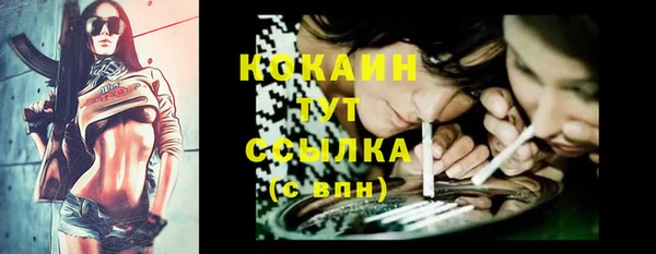 мдпв Семёнов